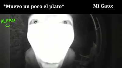 Es hora de comer