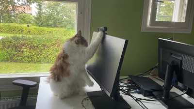 Installing The Webcam.