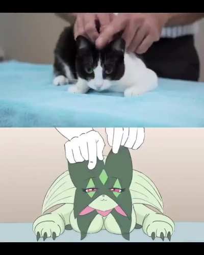 ankkhhhaaa