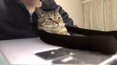 Office Cat Is Teleworking, but falling asleep needs caffeine (doodle w/audio)