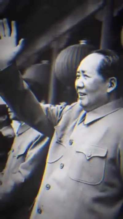 wowmao rule 