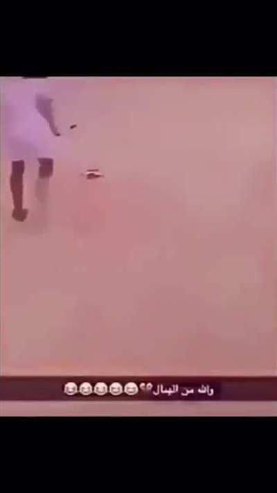 shitposting - Video #6581