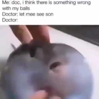 Rule