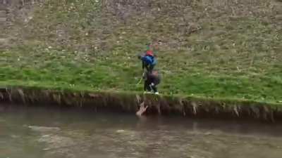 Two guys pulled a stray dog out of the river (Sarajevo, Bosnia Herzegovina)