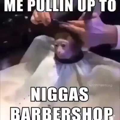 yessss dude😎👈