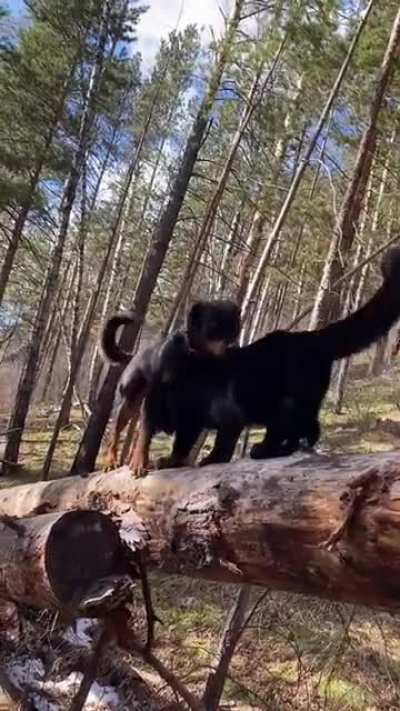 Luna with her best friend