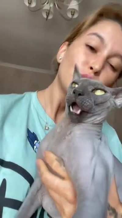 Girl&rsquo;s bald kitty is irritated