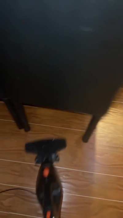 New TikTok