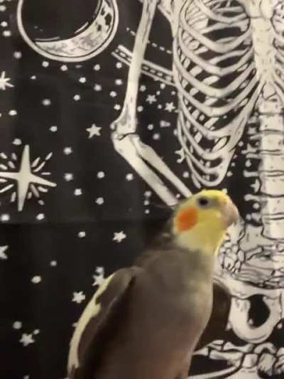 Here&rsquo;s 3 minutes of Groot singing the cookie song