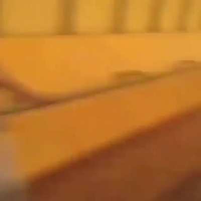 Acrobat