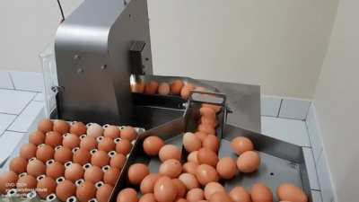 Egg breaking machine