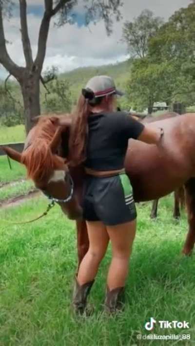 Guess it&rsquo;s time to become a horse