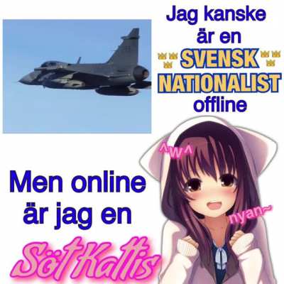 Nyan nyan ^w^ 🇸🇪❤️