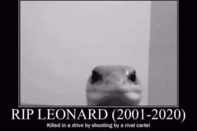 Fell 😞. But ain&rsquo;t fall off 😤, remembered in hearts Leonard.