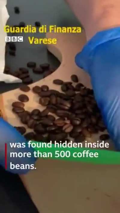 To Smuggle Drugs