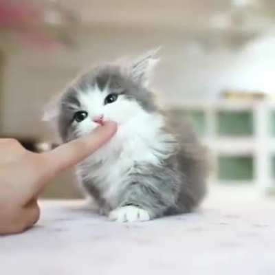 You've been hit by a cute criminal