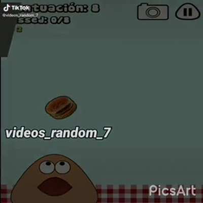 POU 8K