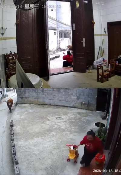 Hopefully she's not the mom