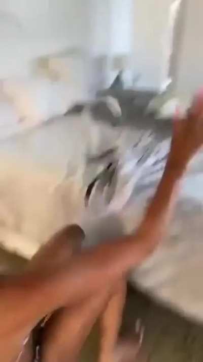 Flippin' hell m8!
