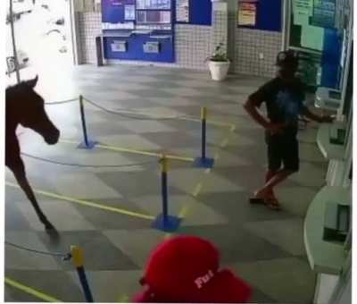 Foi pagar a conta u&eacute;