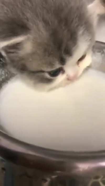 &ccedil;ok tatlı ya