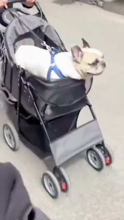 ARRA ARRRA ARRA ARA