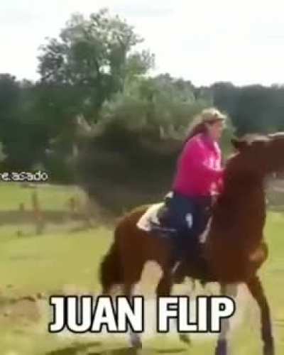 Flip