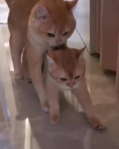 Для мамы ты всегда ребёнок..
