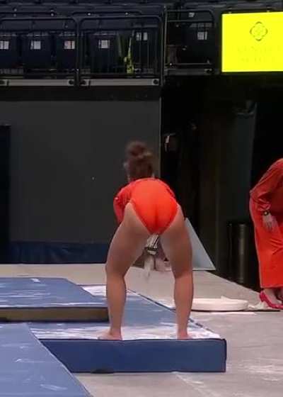 Clemson Tigers (Thanks Cameraman)