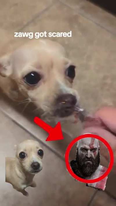BOI