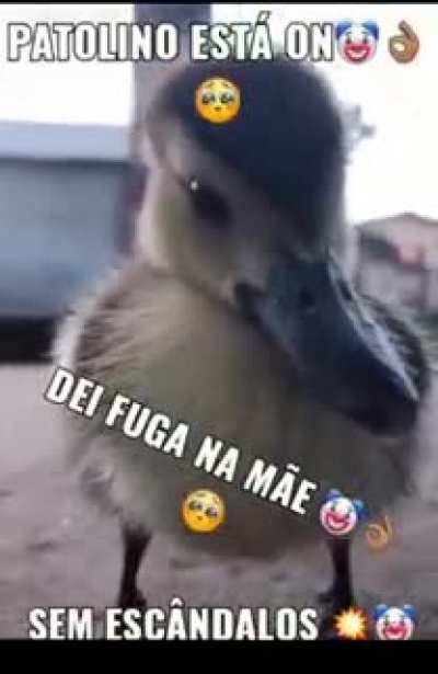 👉😎