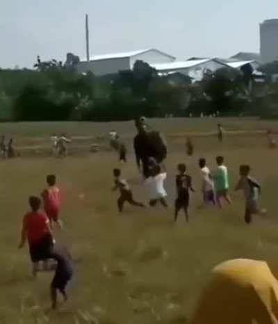 manhunt