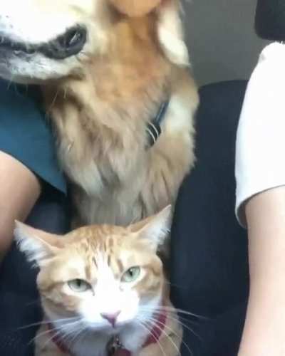 When you&rsquo;re stuck with someone you dislike for hours