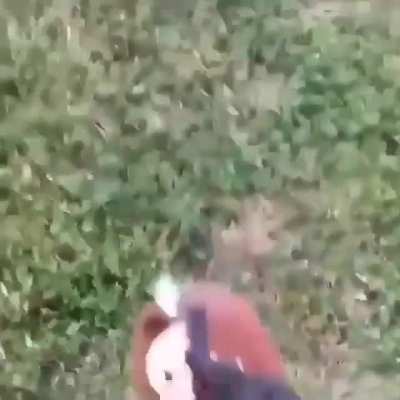 Blursed dora