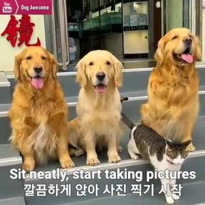"Say cheese idiot!"