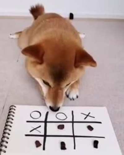 Humano pendejo