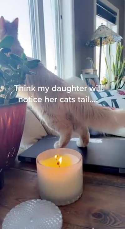 😾