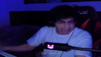 rod bug