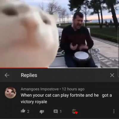 Yoour cat is an epic gamer