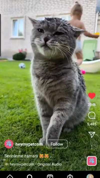 The face of 