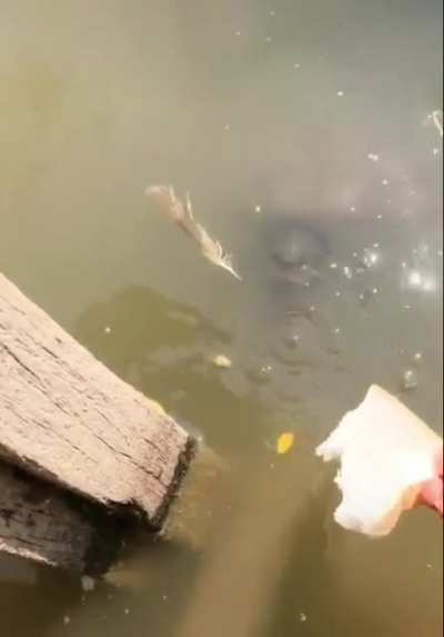 Wasn&rsquo;t expecting that