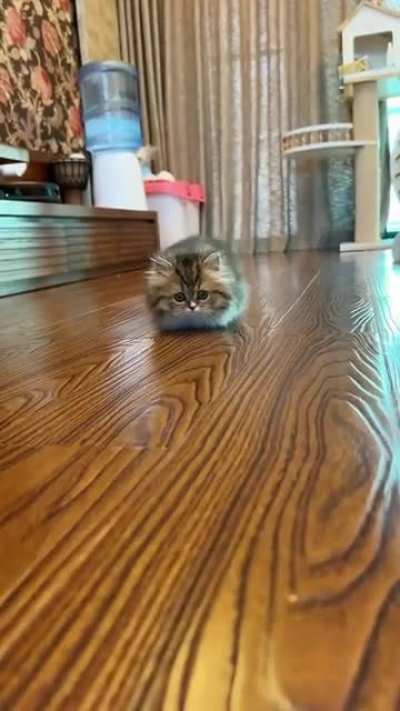 He sneak attack