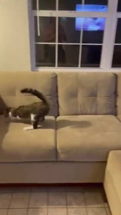 Featherless Biped. This is a man.