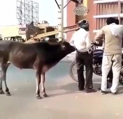 Go to horny jail