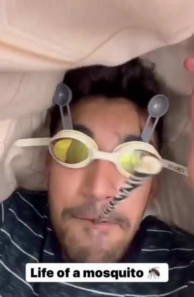 Mosquito-Man