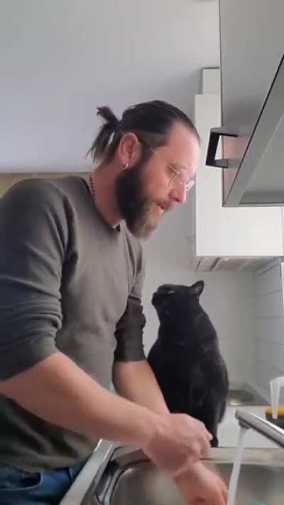 A cute black cat tries to get kisses from owner while he's doing the dishes
