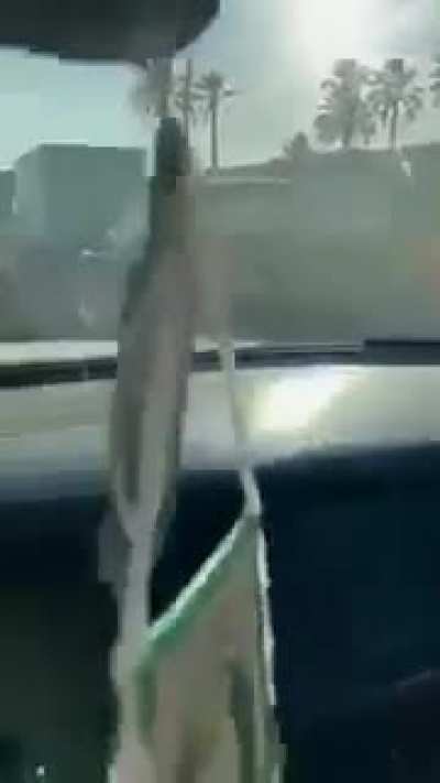 11-year-old joyriding with his siblings in dad's car
