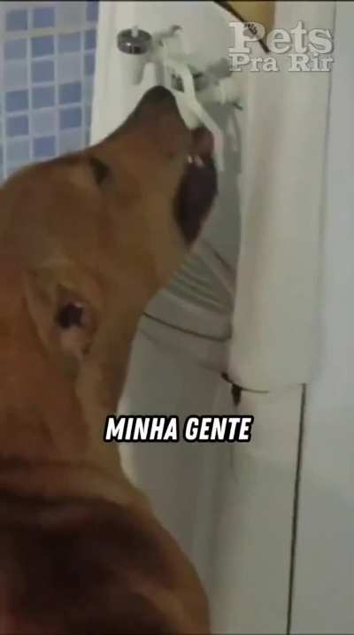 Ant&ocirc;nio indica: beba &aacute;gua 