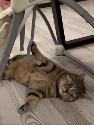 Кот-баюн