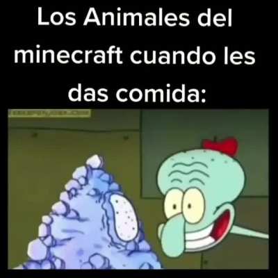 Sexo